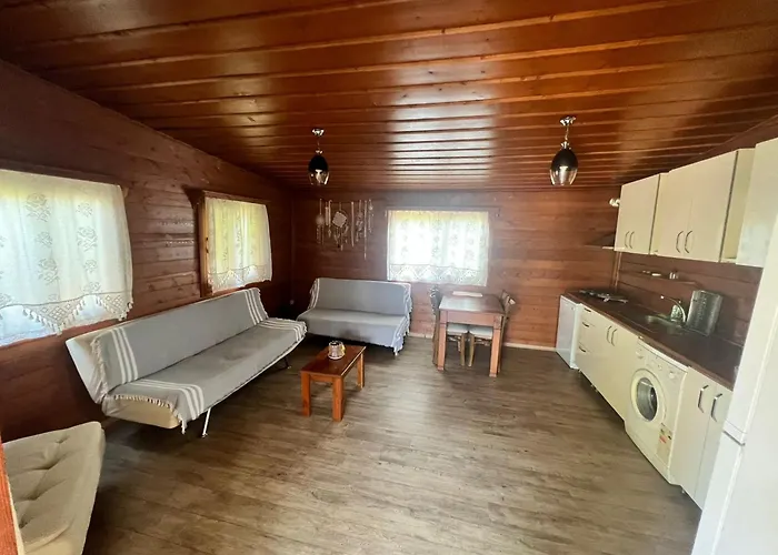 Woodentowns-ahsap Evler