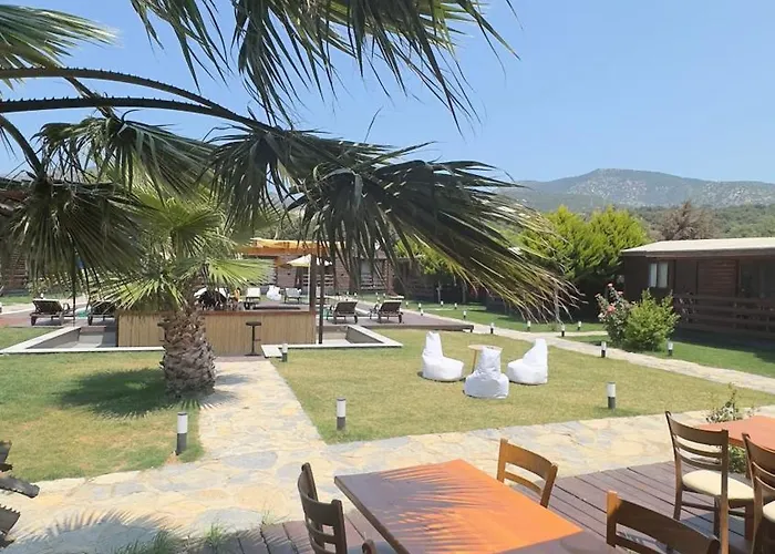 Woodentowns-ahsap Evler 3*