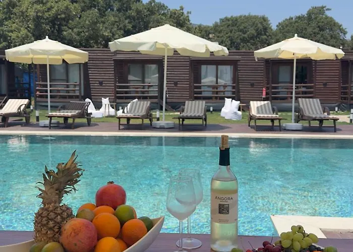 Woodentowns-ahsap Evler