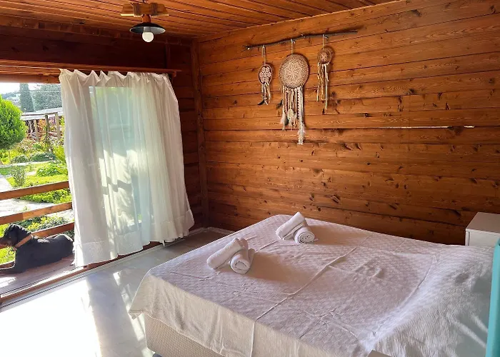 Woodentowns-ahsap Evler