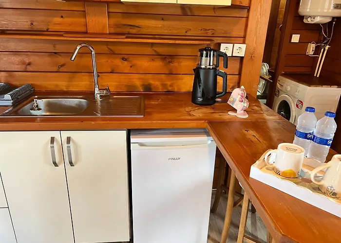 Woodentowns-ahsap Evler